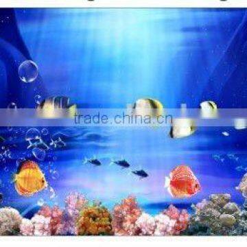 colourful plastic aquarium background