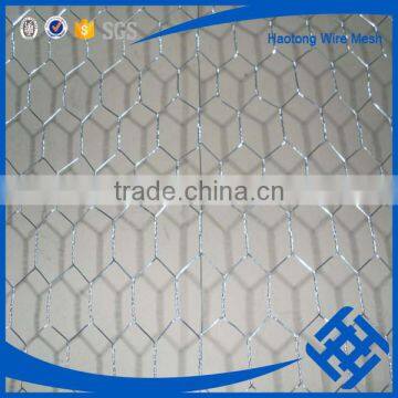 China factory price galvanized chicken wire mesh for sale