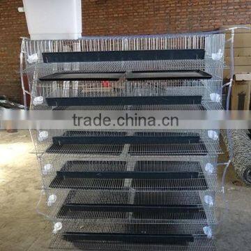 H Type Commercial Quail Cages For Sale