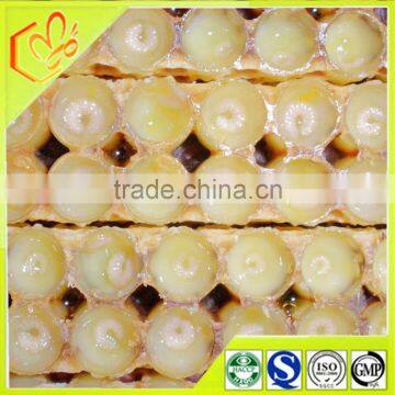 organic fresh royal jelly is riched in 10-hda 1.8% from China