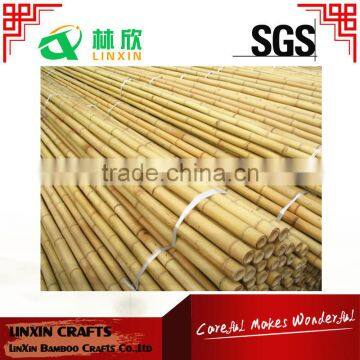 straight raw bamboo poles/ building material bamboo poles customized