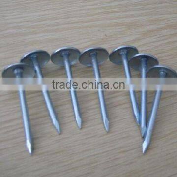 Umbrealla Nail With Roofing Head and Thread Nail Body photo-6