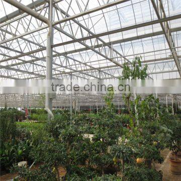 Commerical Multi-Span Greenhouse for Agriculture With UV photo-4