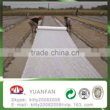 BSCI PASS -- [ Factory Supply ] S / SS Spunbond Agriculture Nonwoven Cover Fabric for Ground Cover / Plant Cover photo-4