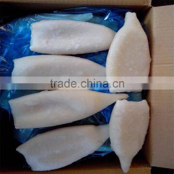 Frozen Pacific Squid Tube u5 u7 U10 photo-2
