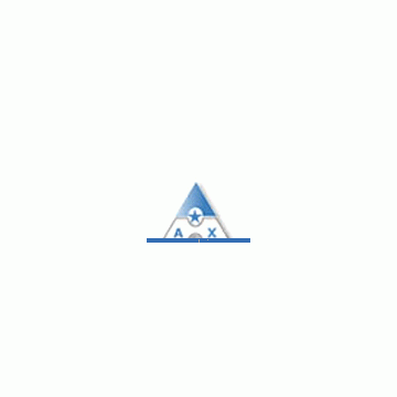 Anping Anxin Wire Mesh Co., Ltd.