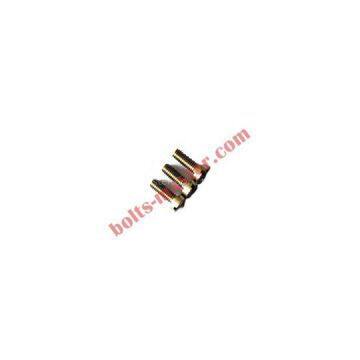 Titanium Slotted Cheese Head Screw