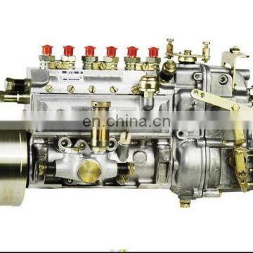 630-1111010/10400726041/10 400 726 041 Diesel Fuel Injection Pump for YuChai 6105QC Engine