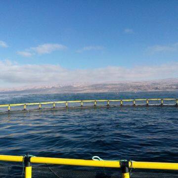 Cage For Fish Fish Cage Farming Anti-wind