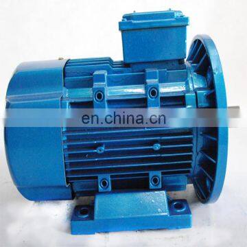 Chinese Manufacturer Induction Motor 90kw photo-6