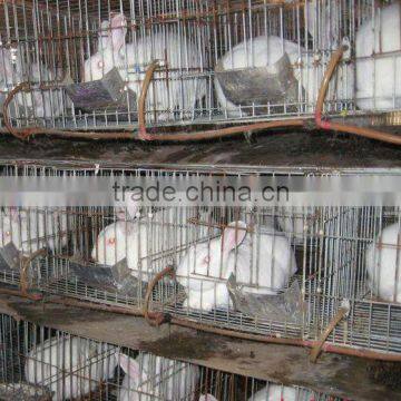 Poultry Nipple Automatic Stainless Steel Rabbit Nipple Drinker photo-4