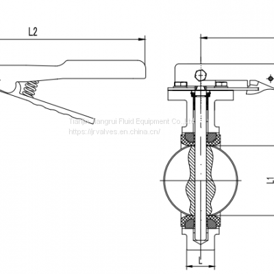 Lug Type PTFE Lined Wafer Manual Butterfly Valve photo-5