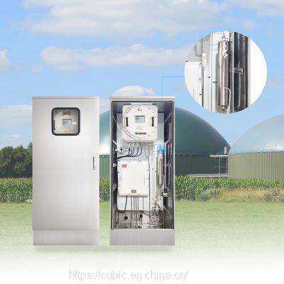 Китай Детектор биогаза CH4 O2 H2S CO2 Многофункциональный портативный анализатор биогаза photo-5