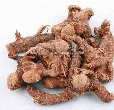 Galangin 98% HPLC yellow powder, Galangal Extract, Alpinia officinarum Extract, CAS No.: 548-83-4, Yongyuan Bio