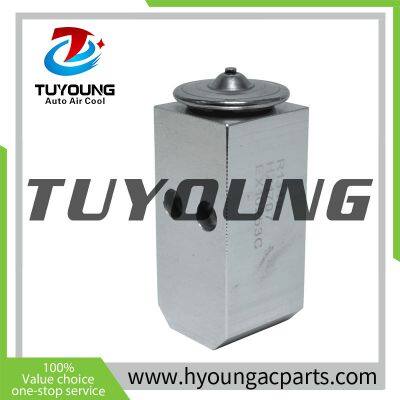 China Factory Manufacture Air Conditioning Expansion Valve for 2006-2011 Hyundai Accent 1.6L, HY-PZF291 photo-2