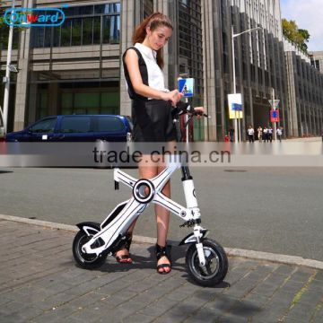 Portable Folding E Bike from China