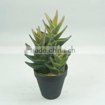 Best Selling Artificial Plants Cactus with plastic pot For Home Decoration