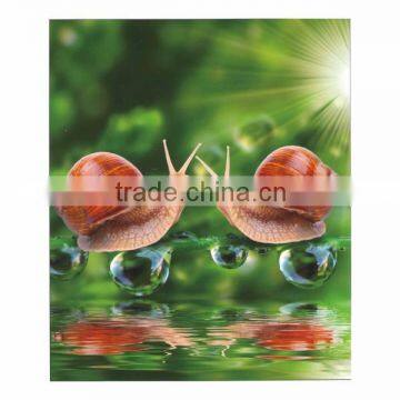 Glossy 180mic Self Adhesive Eco Solvent Glossy pp Film