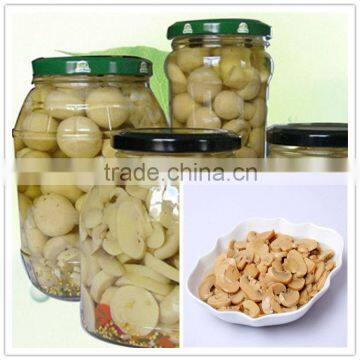 Newly canned food canned mushroom price