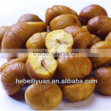 High quality fresh chestnut