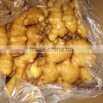 2016 new crop Linyi origin air dried ginger