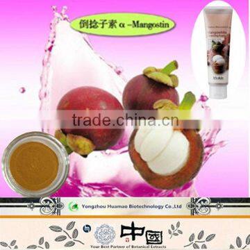 polyphenols 30%, Mangostin10%, Mangostin 90% , natrural Mangosteen extract