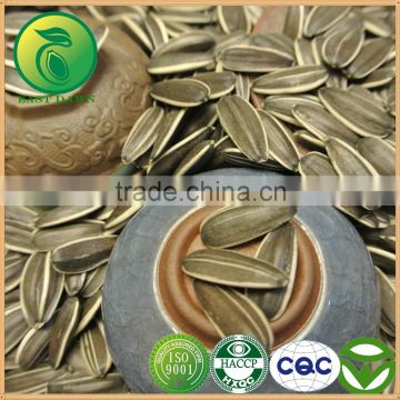 Hot Sale Vegetable Oil Sunflower Seeds