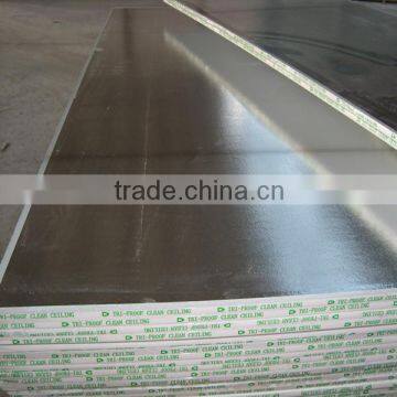 vinyl laminated gypsum tile