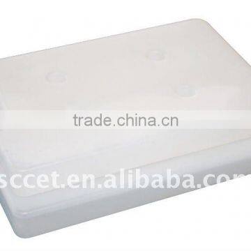 500g PE Ice box