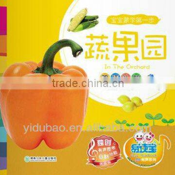 Baby e-book for early education ,audio books for home teaching English