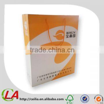 A4 Size Stand Up Rope Handle Design Paper Bag