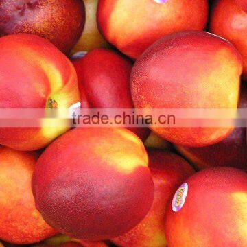 FRESH NECTARINES, PEACH