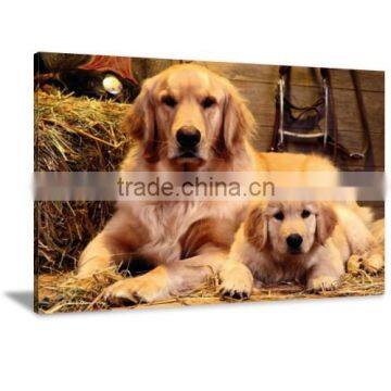 Framed Dog Animal Canvas Painting Art Livingroom and Bedroom Decor DWYS21