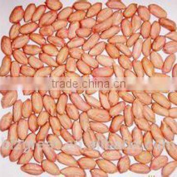 Supply Chinese Peanut Kernels Long for Sales