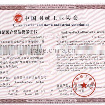 White Duck Down Pillow for Hotel Wholesale photo-4