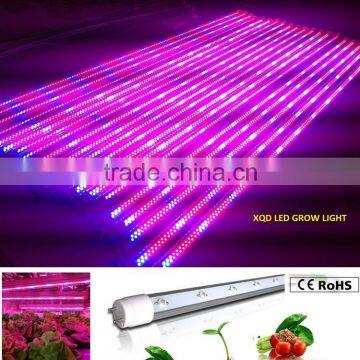 XQD 12W led grow light tube