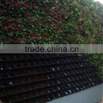 2012 new virtical garden green wall --pot plant supplier