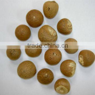 VIETNAM ORGANIC WHOLE AND SPLIT BETEL NUT BIG SALES