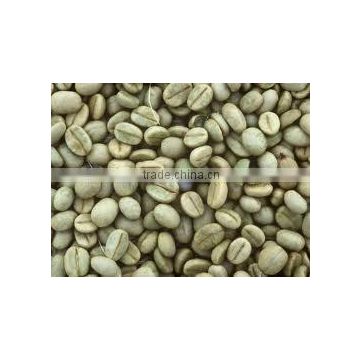 arabica coffee bean exporter