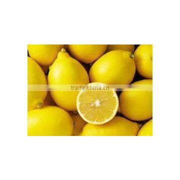 FRESH LEMON FROM SOUTH AFRICA