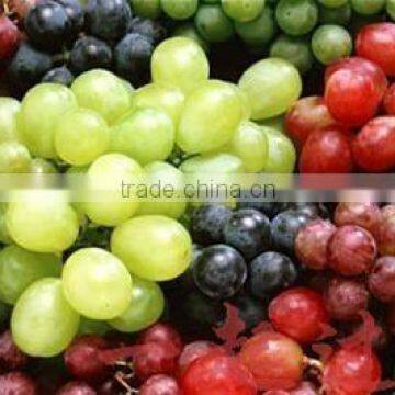 Fresh grape