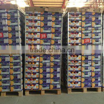 Weight of Navel and Valencia Orange From Egypt in 18 kg Cartons