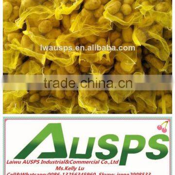 High Quality Fresh Holland Potatoes