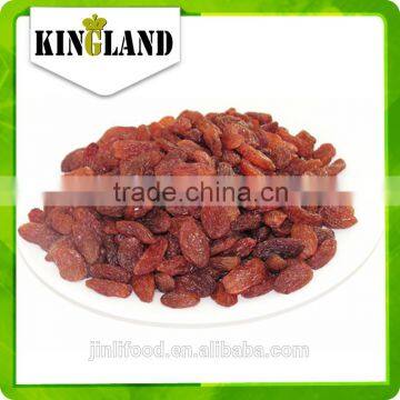 China High Quality AAA Sultana Raisin With Best Price and High Quality