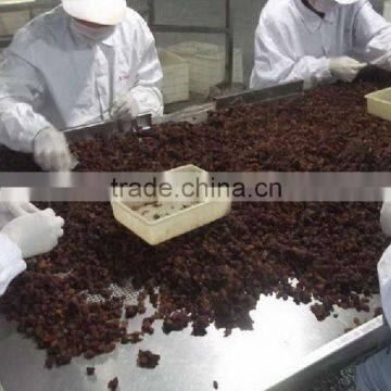China Dried Sultana Raisin