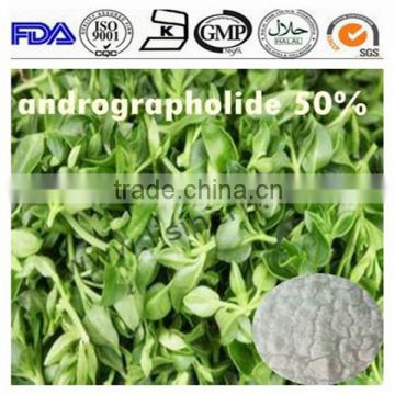 Supply Herba Andrographis P.E /Aandrographis paniculata extract / Andrographis paniculata(Burm.f.)Nees extract