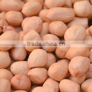 Peanut for oil extraction