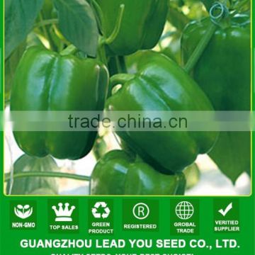 MSP02 Youlv hybrid jade green bell pepper seeds of Chinese vegetable seeds