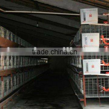 H type broiler or breeding cage