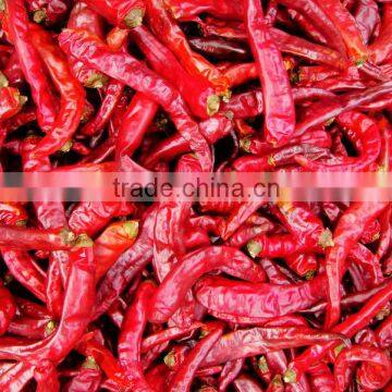 Automatic Mesh Belt Conveyor Dryer photo-4